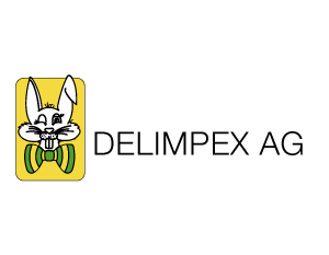 DELIMPEX AG - Konzeption
